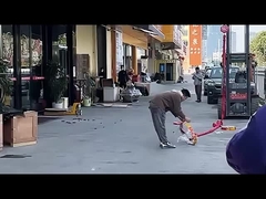 Hãy cùng nhau mừng năm mới.